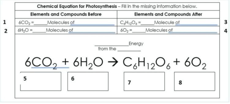 Fill in the missing information below. (image attached)-example-1