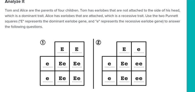 What is the likelihood that the children in square 1 will have earlobes that are not-example-1