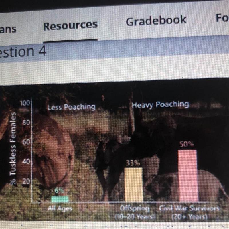 Based on the graph above, how is the population of older female elephants different-example-1