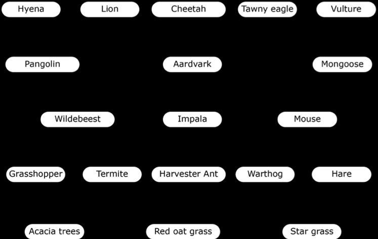 Food webs diagram the complex relationships of energy flow in an ecosystem containing-example-1