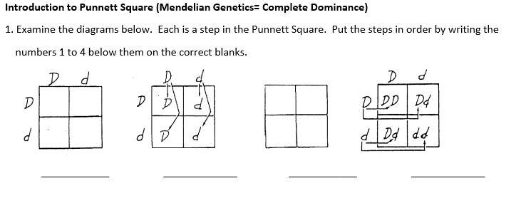 Help this one pls, l hope is easy-example-1