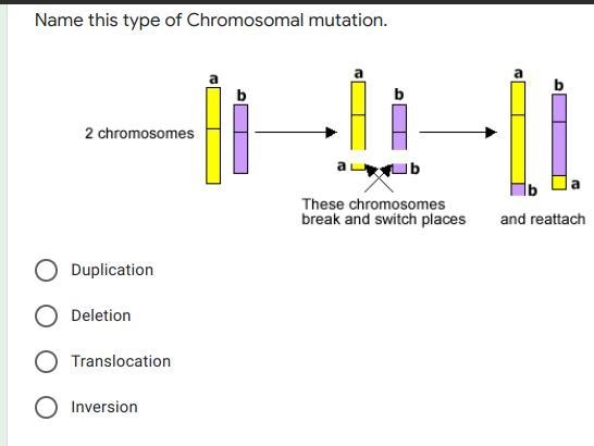 HELP I NEED BY TUESDAY BUT I HAVE MULTIPLE QUESTIONS THEY ARE ALL IMAGES-example-1