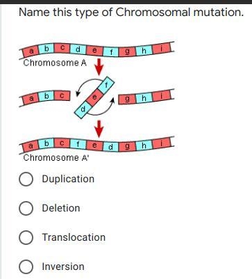 HELP I NEED BY TUESDAY BUT I HAVE MULTIPLE QUESTIONS THEY ARE ALL IMAGES-example-2