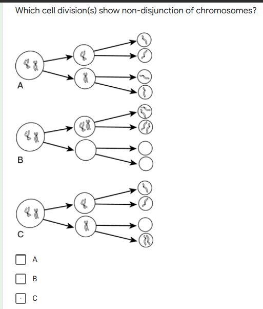 HELP I NEED BY TUESDAY BUT I HAVE MULTIPLE QUESTIONS THEY ARE ALL IMAGES-example-4