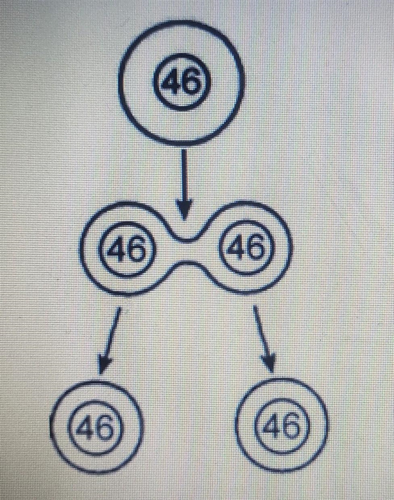 What process does this diagram illustrate? A. meiosis B. sexual reproduction C. tissue-example-1