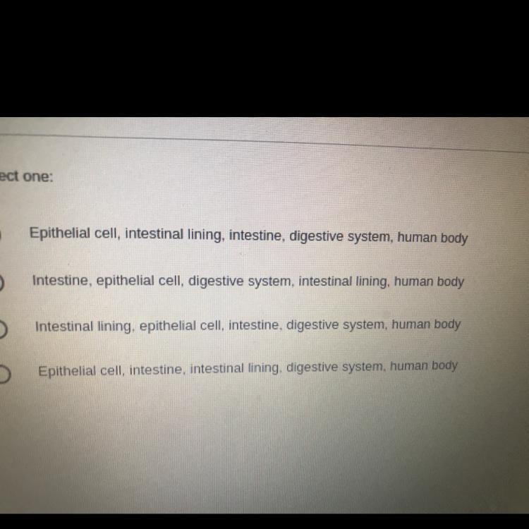 In which list are the levels of organization in the human digestive system shown from-example-1