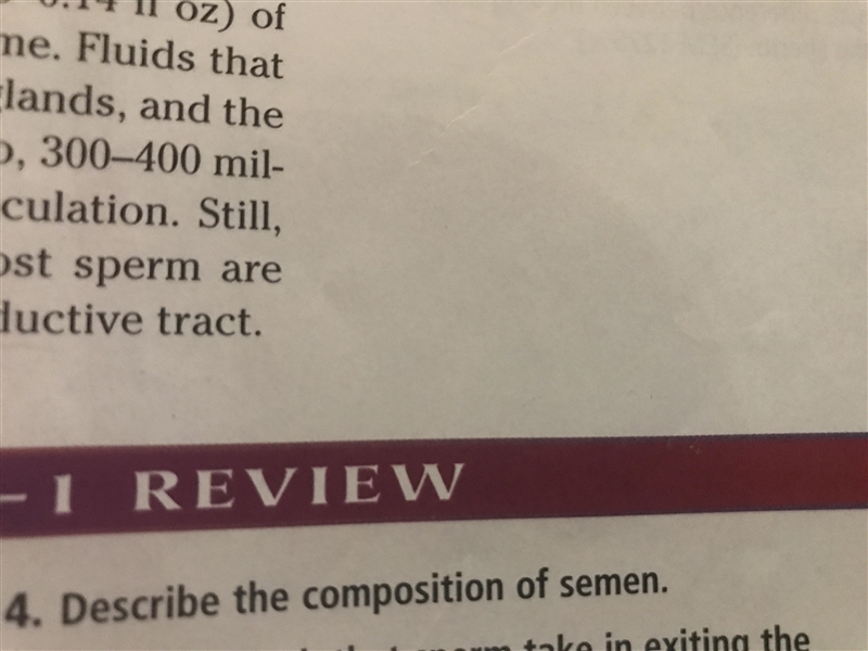 Describe the composition of semen-example-1