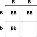 The incomplete Punnett square below shows the probability of allele distribution for-example-1