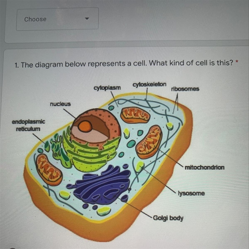 What type of cell is this. Prokaryote or eukaryote-example-1