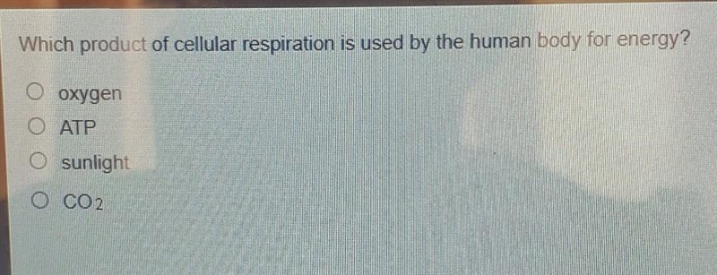 Which product of cellular respi tion is used by the human body for energy? O oxygen-example-1