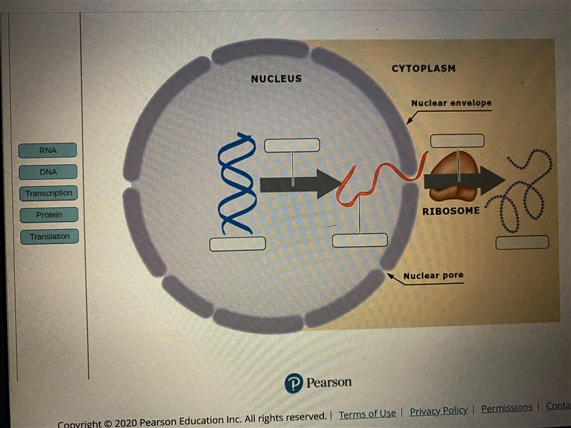 Help please I need this asap-example-1