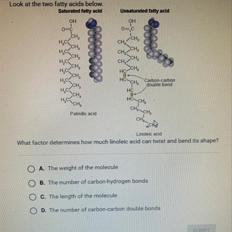 What factor determines how much linoleic acid can twist and bend its shape? A. The-example-1