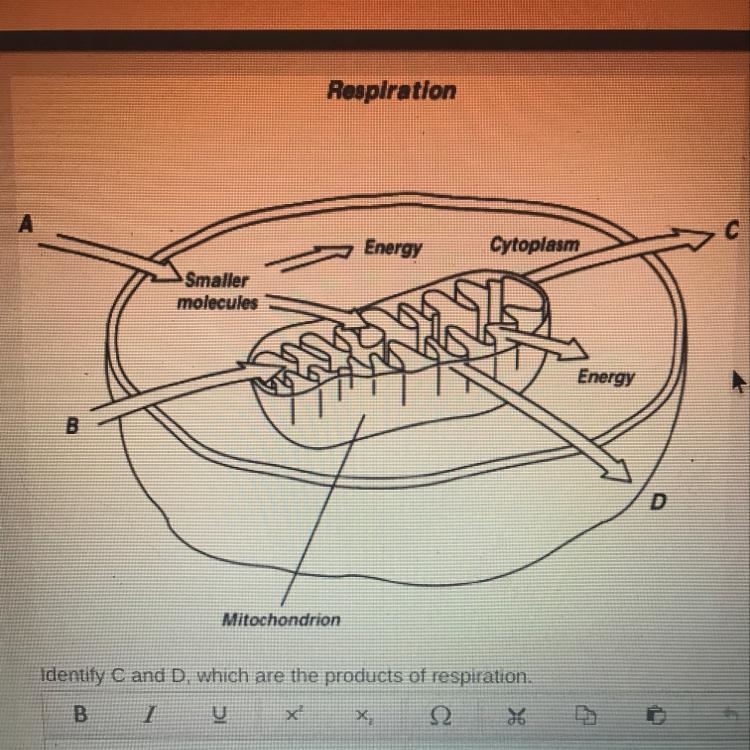 Please answer quickly! I don’t understand how we are supposed to do this question-example-1