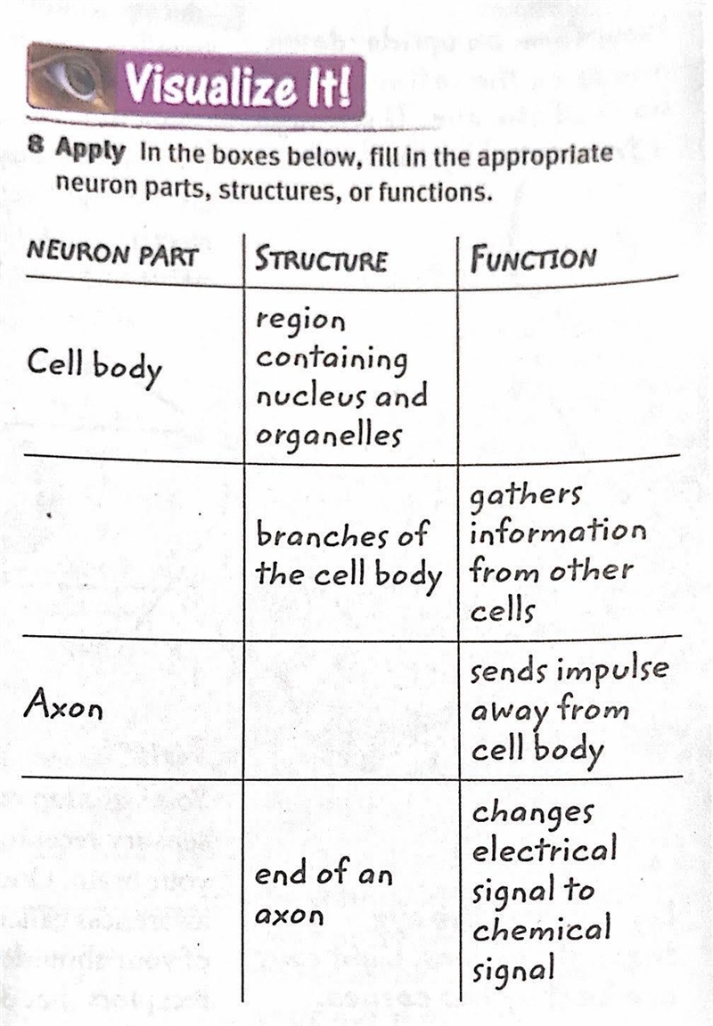 In the boxes below, fill in the appropriate neuron parts, structures, or functions-example-1