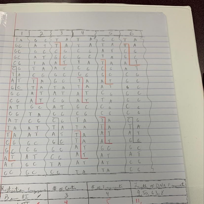 Can anyone tell me what the # of DNA fragments are?-example-1