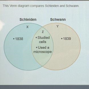 This Venn diagram compares Schleiden and Schwann. Where would this phrase belong on-example-1