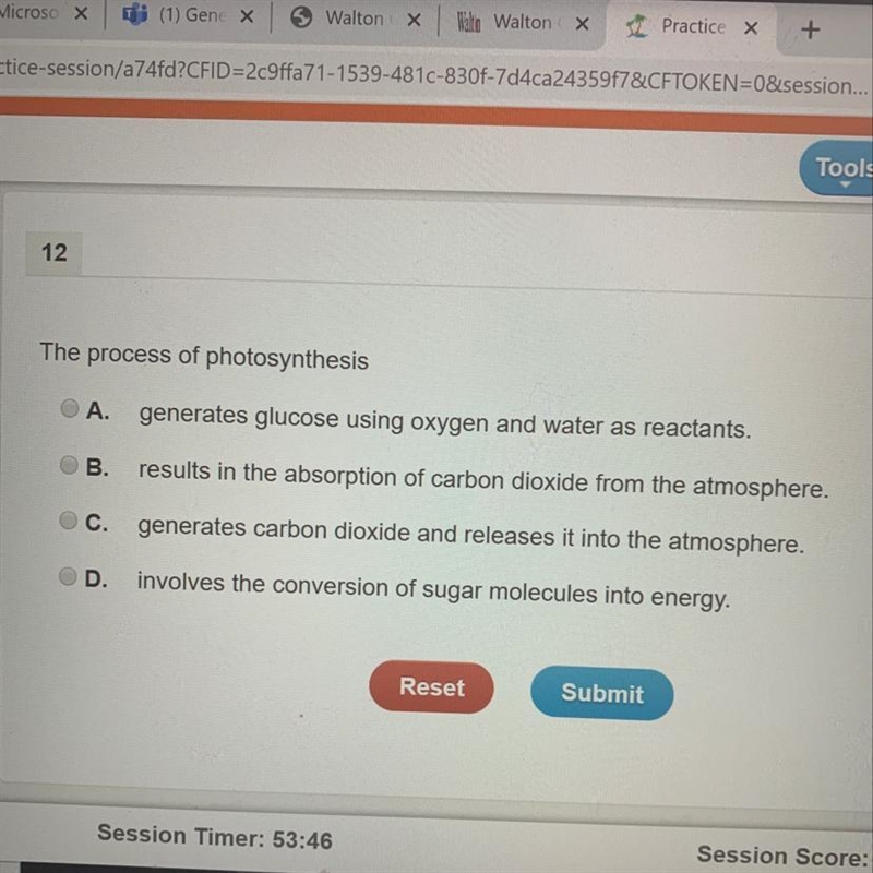 The process of photosynthesis-example-1