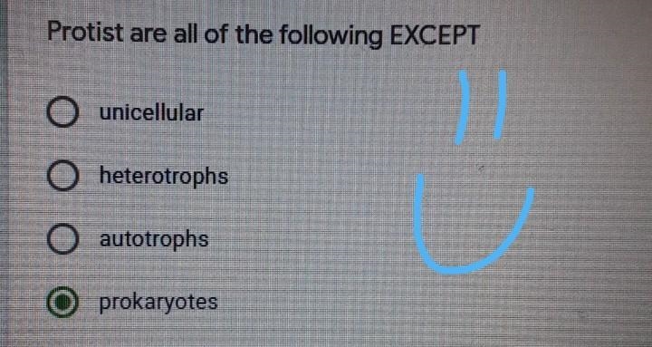 Protists are all of the following EXCEPT: A. unicellular B. hetrotrophs C. autotrophs-example-1