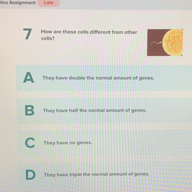 How are these cells different from other cells?-example-1