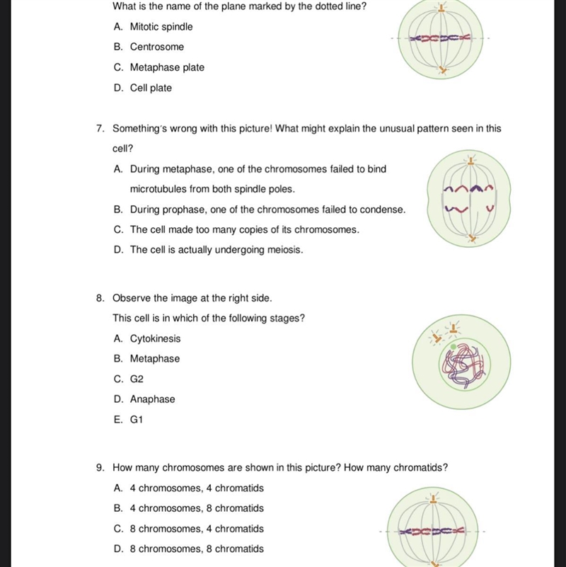 I swear it is easy plz help me 6 7 8 9-example-1