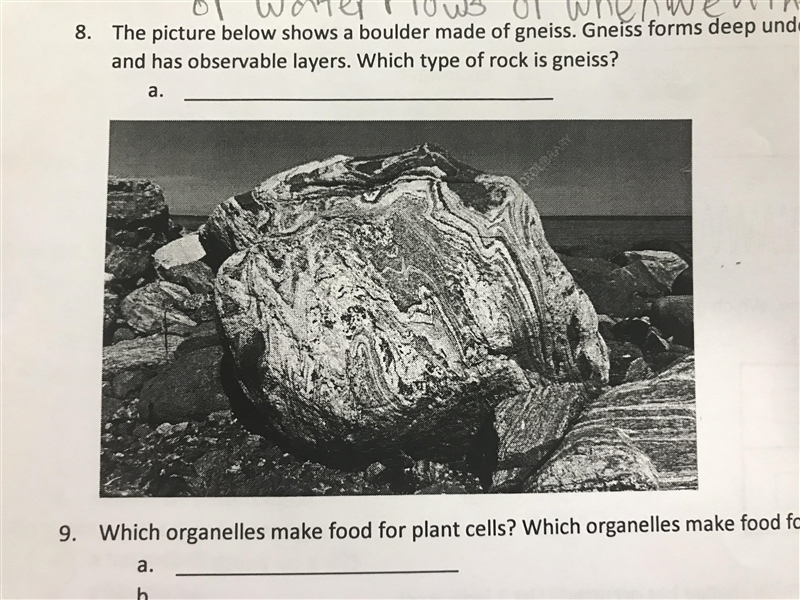 The picture below shows a boulder made of gneiss.Gneiss forms deep underground due-example-1