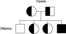 HELP. Sickle cell anemia is known to run in a family. A pedigree chart for this family-example-1