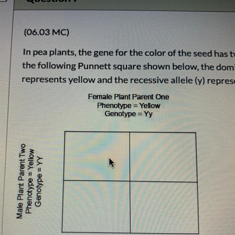 !!HELP!! in pea plants. the gene for the color of the seed i’m has two alleles. In-example-1