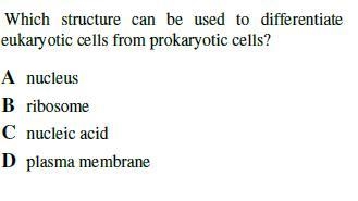 Biology!!! Thanks for any help!-example-1