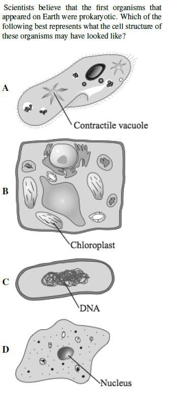 Biology!!! Thanks for any help!-example-2