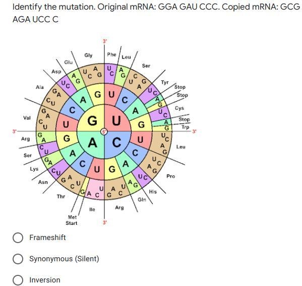 HELP I NEED BY TUESDAY BUT I HAVE MULTIPLE QUESTIONS THEY ARE ALL IMAGES-example-4