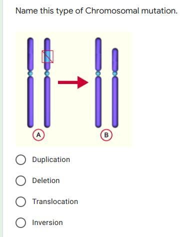 HELP I NEED BY TUESDAY BUT I HAVE MULTIPLE QUESTIONS THEY ARE ALL IMAGES-example-5