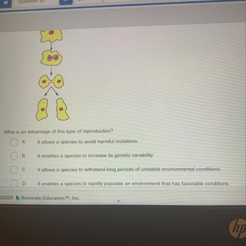 Anything will help Biology-example-1