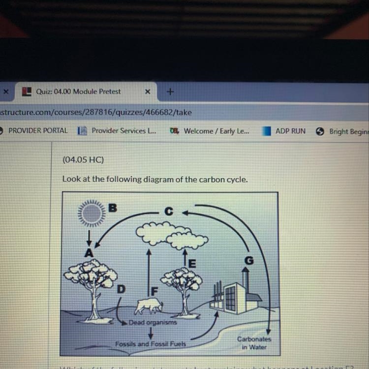 Look at the following diagram of the carbon cycle. Dead organisms Fossils and Fossil-example-1