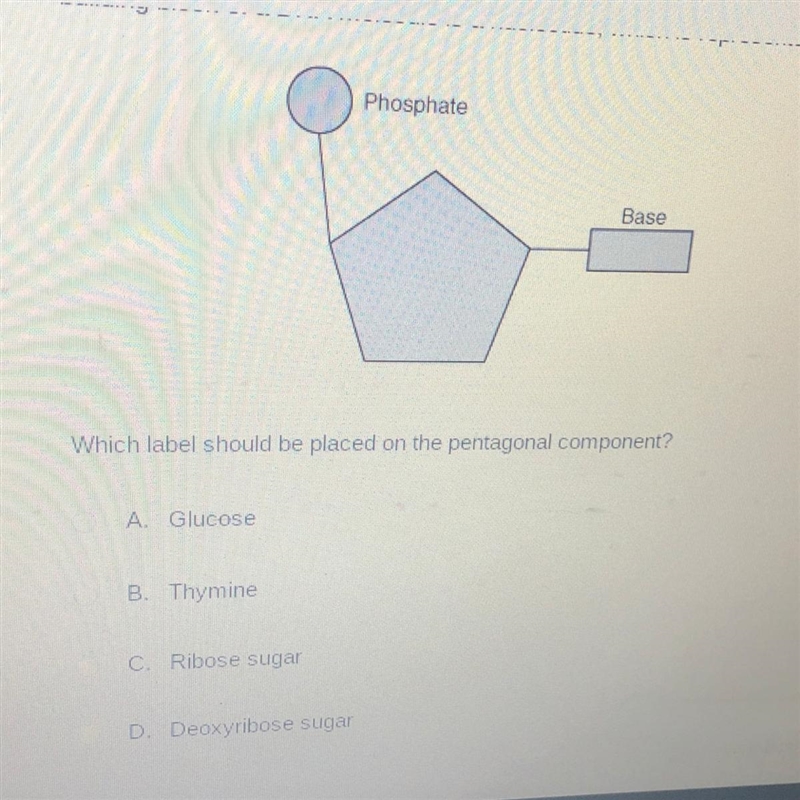 HELPPPPPPP ITS BIOLOGY-example-1