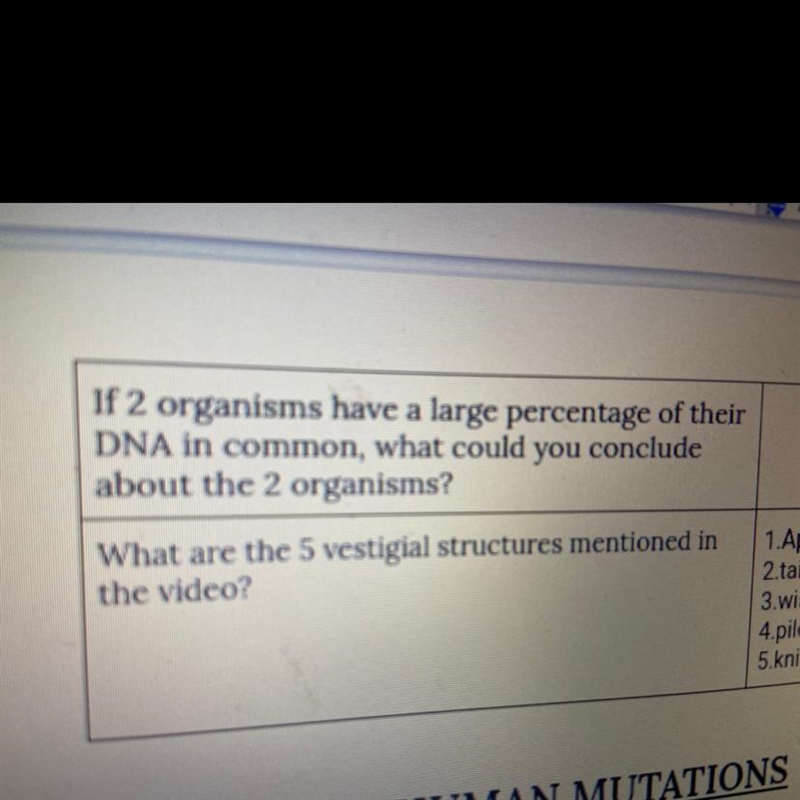 If 2 organisms have a large percentage of their DNA in common, what could you conclude-example-1