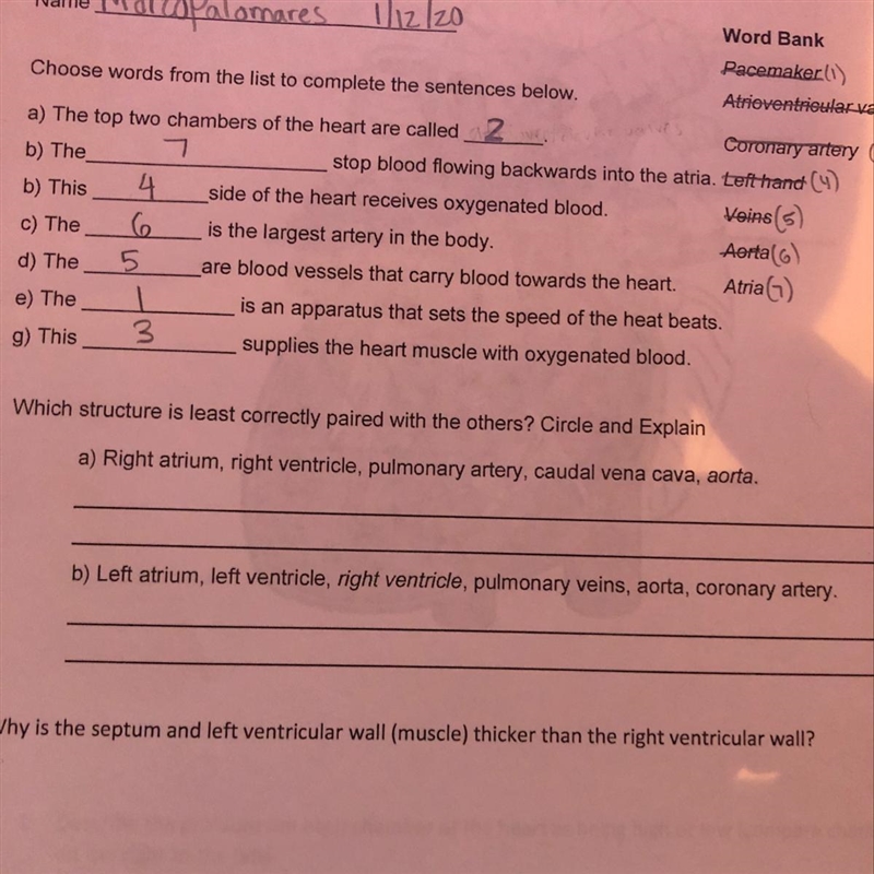 Which structure is least correctly paired with the others? Circle and explain.-example-1