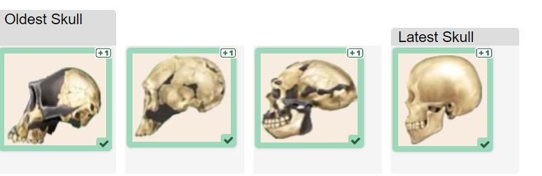 What evidence can you use from these images to support the claim that the skulls represent-example-1