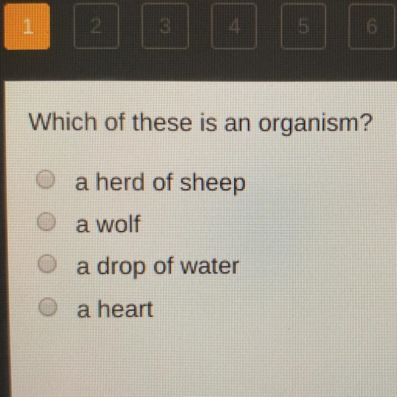 Which of these is an organism?-example-1