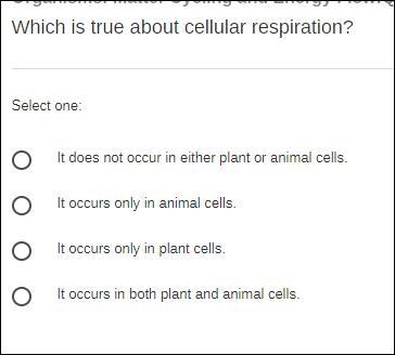 HELP ME PLSSSS 14 points..-example-1