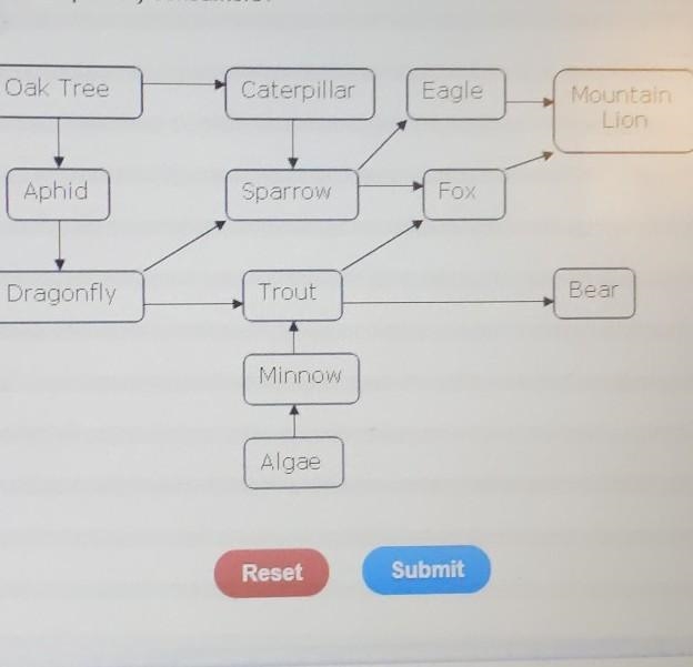 Which organisms in the food web are primary consumers?​-example-1