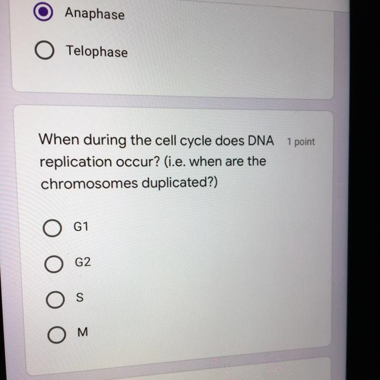 When during the cell cycle does DNA 1 point replication occur? (i.e. when are the-example-1