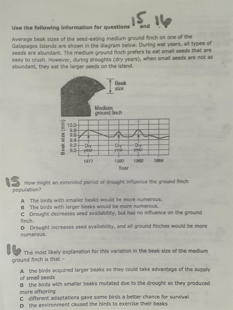 Can plzzz put the explanations was to why one is correct and why the others are wrong-example-1