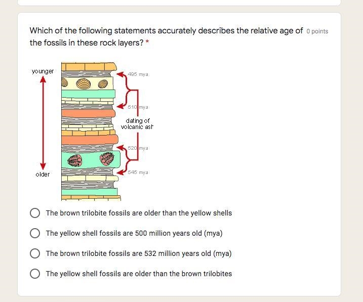 Which of the following statements accurately describes the relative age of the fossils-example-1