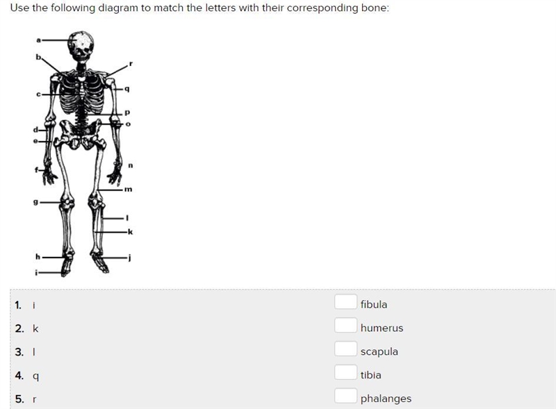 Help me quickly plz-example-1