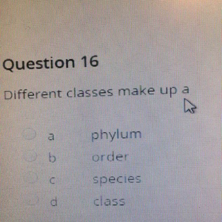 Different classes make up a A) phylum B) order C) species D) class-example-1