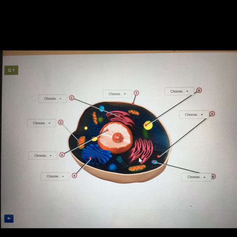 Can someone help????-example-1