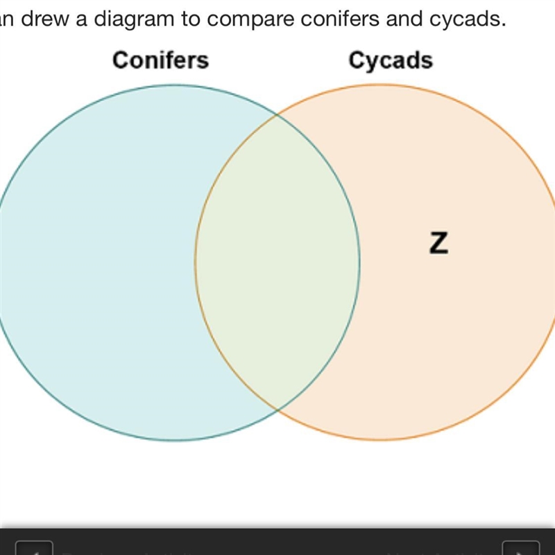 Which characteristic belongs in the area marked Z? are the largest group produce cones-example-1