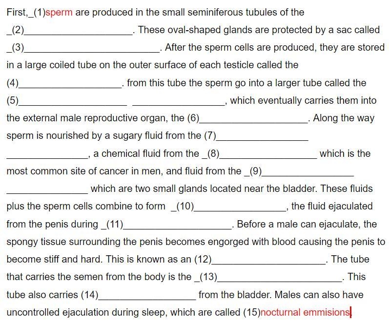 Cowper’s gland, semen, epididymis, seminal vesicle erection, sperm nocturnal emissions-example-1