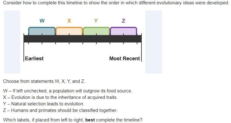 Consider how to complete this timeline to show the order in which different evolutionary-example-1