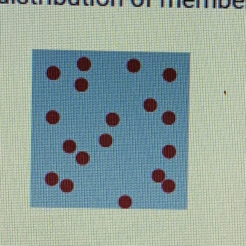 The image below shows the distribution of members of a population. What type of distribution-example-1